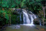 Lilydale Falls - Australia L062 (sizes: 600x900; 900x1350mm)